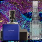 Dragonfly Confocal Microscopy System