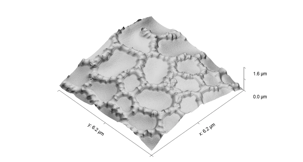 3D representation of the "special" sample topology.