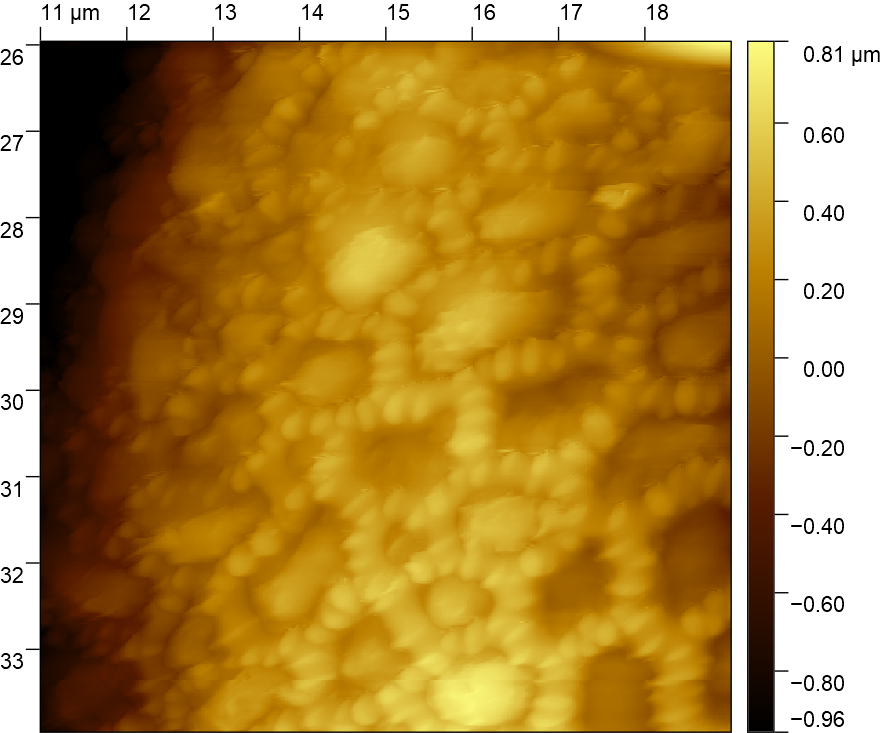 Pollen topography imaged in liquid, using Wavemode and a Vmicro probe.