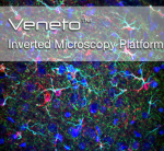 Inverted Microscopy Platform