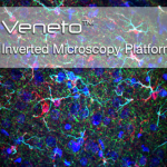 Inverted Microscopy Platform