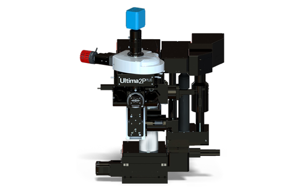 Picture8 Microscop Multiphoton Bruker Ultima 2Plus - imagine 1